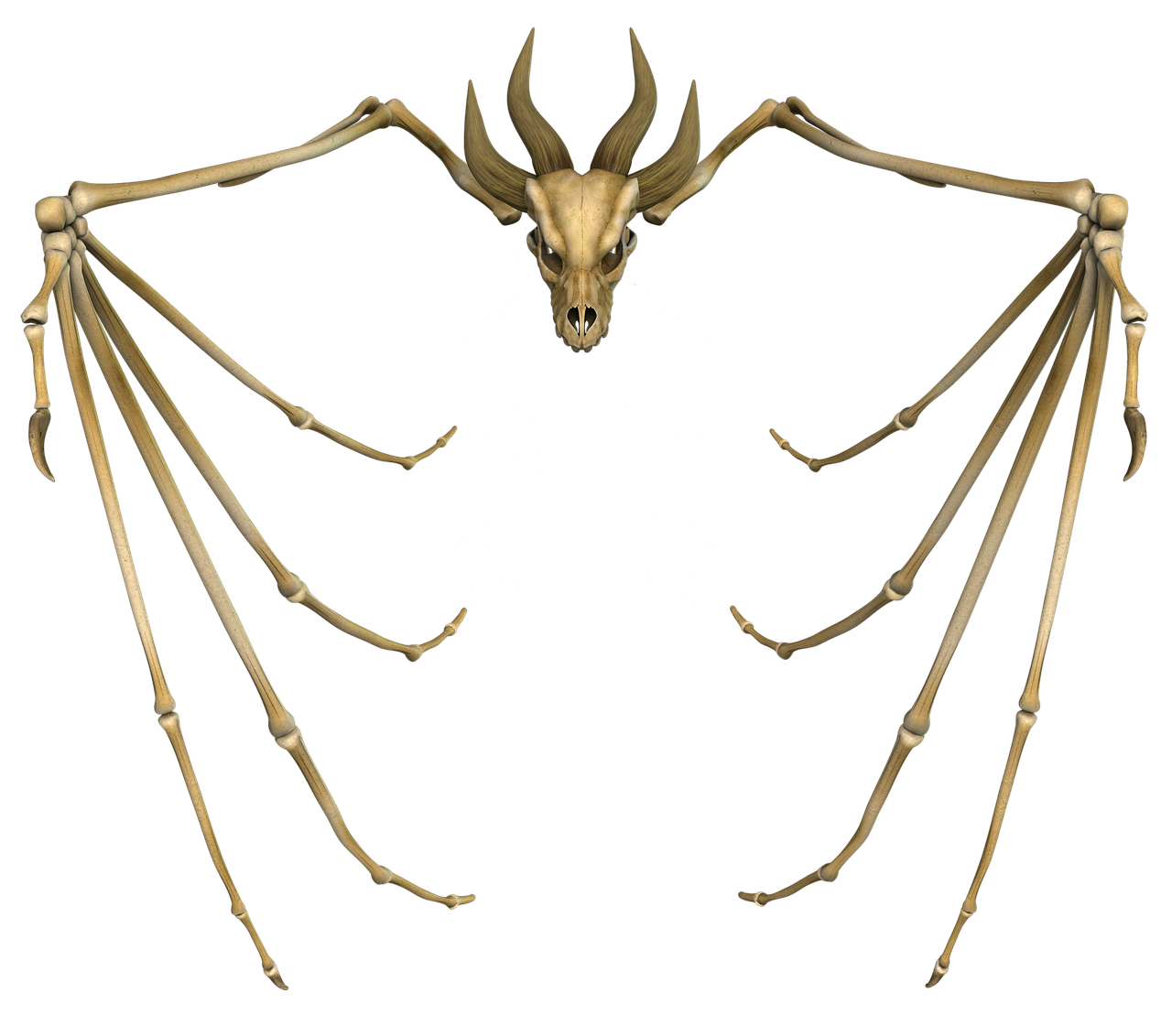 bone dragon